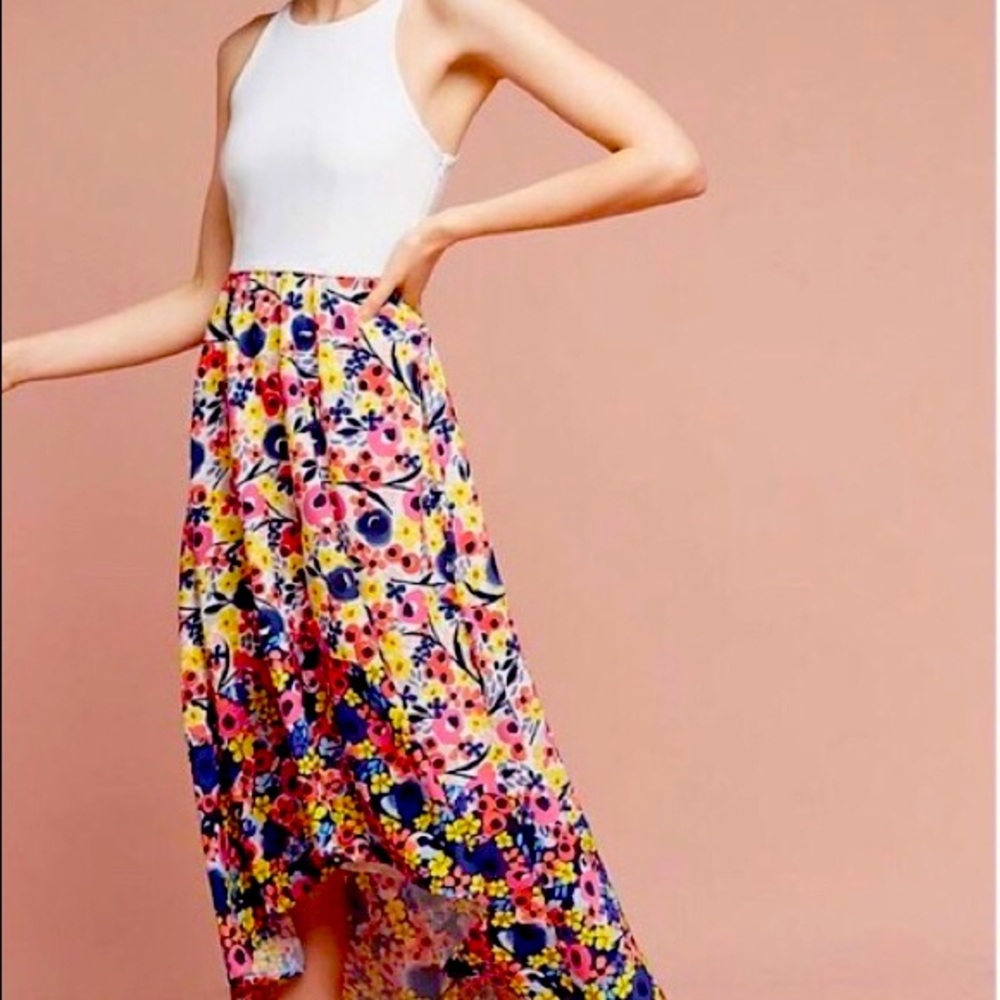 NWT - Anthropologie Medium Hutch Floral Dress